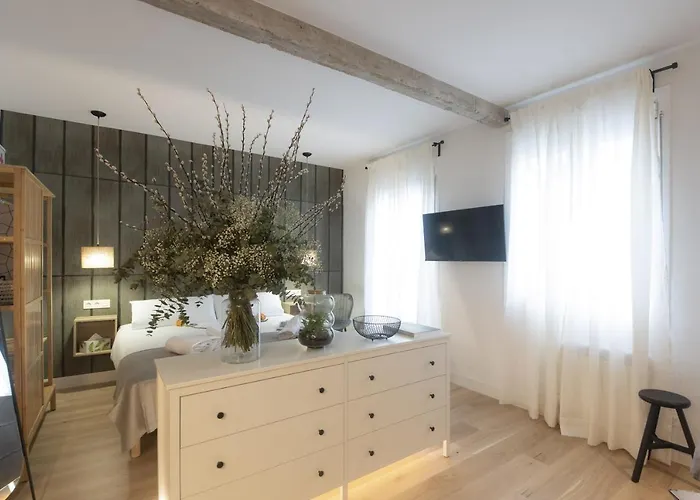 Shiny By Oldtown San Sebastian